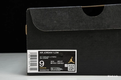 “Covered Jordan Tones” Low 1 Purple 553558-515 0731